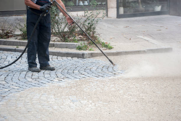 Best Gutter Cleaning and Brightening in Shorewood, IL